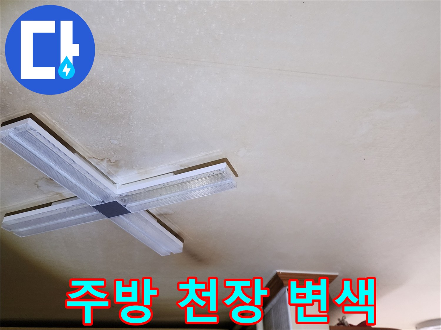 천장 조명 주변으로 번져나간 누수 흔적과 습기