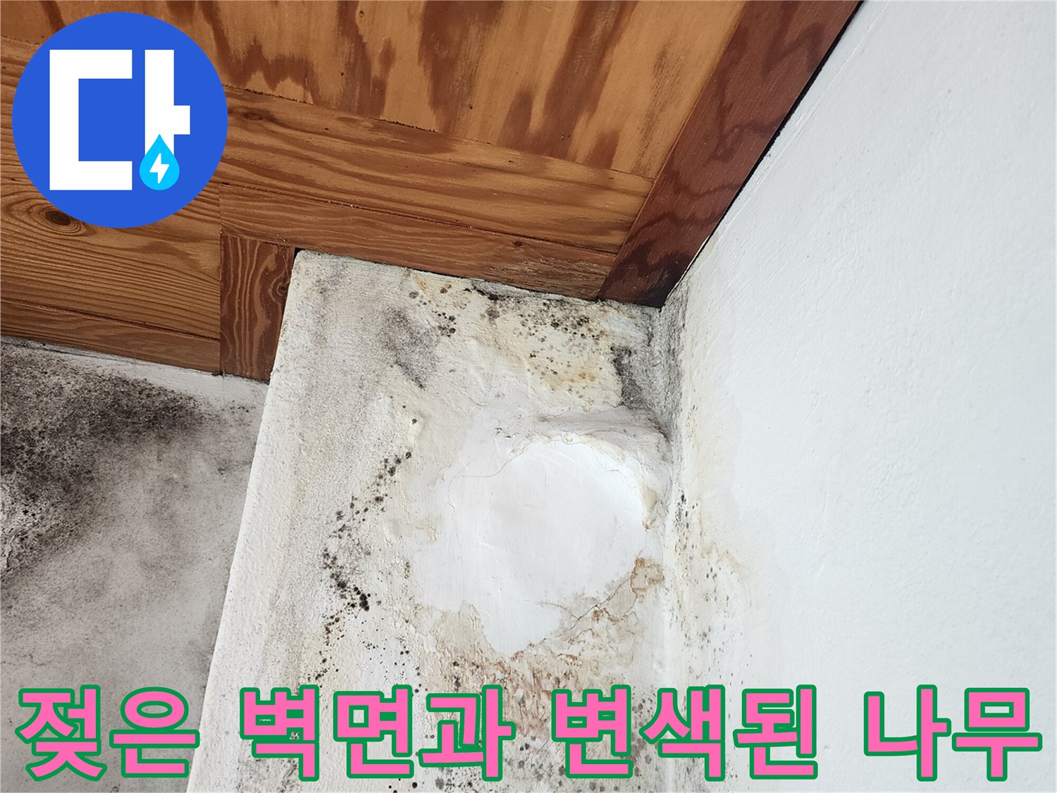보일러실-내부-벽면의-심한-곰팡이와-천장-변색