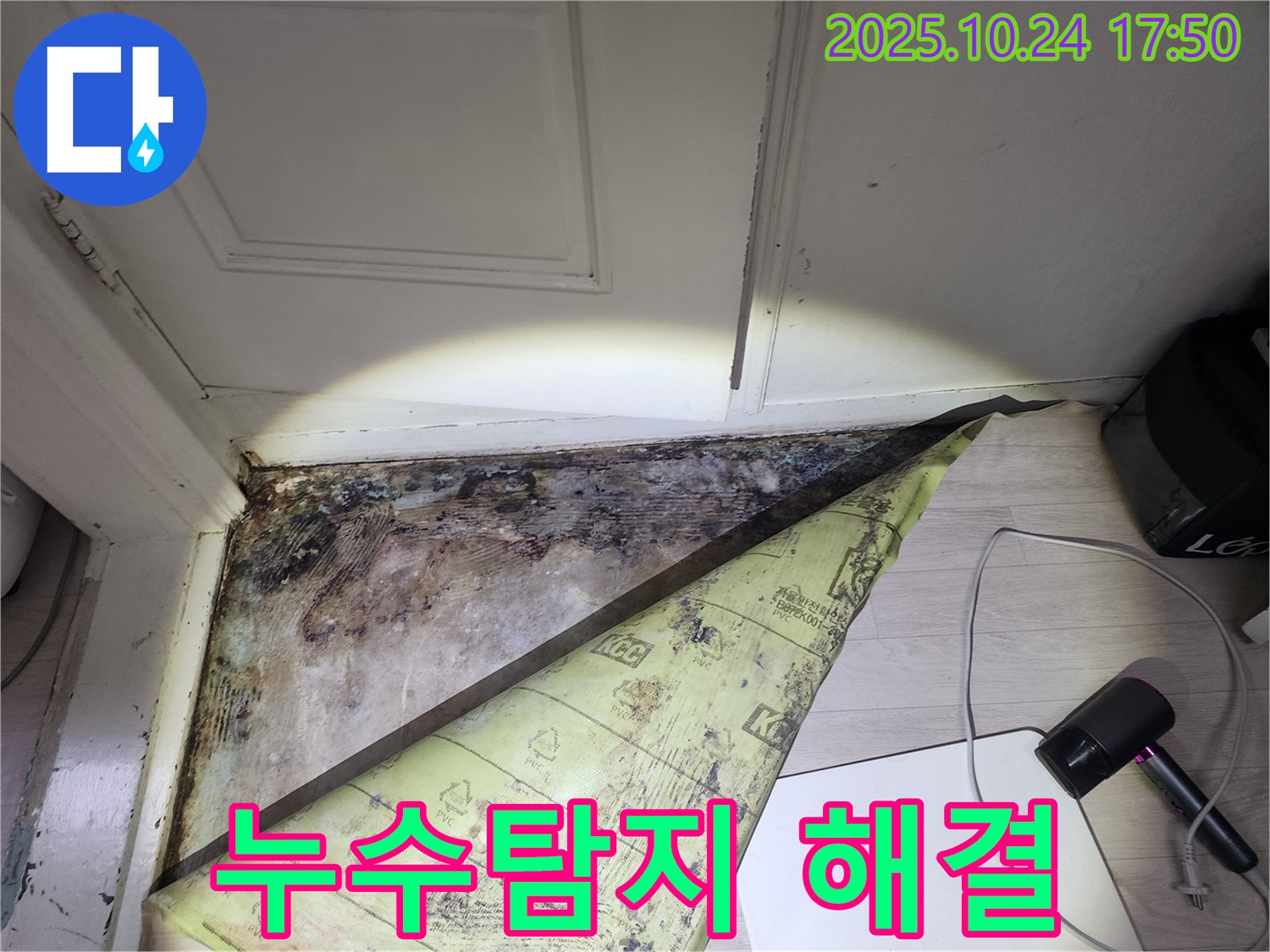 서초 누수탐지 전문 - 양재동 현대빌라 곰팡이 누수, 원인부터 해결까지 책임집니다.