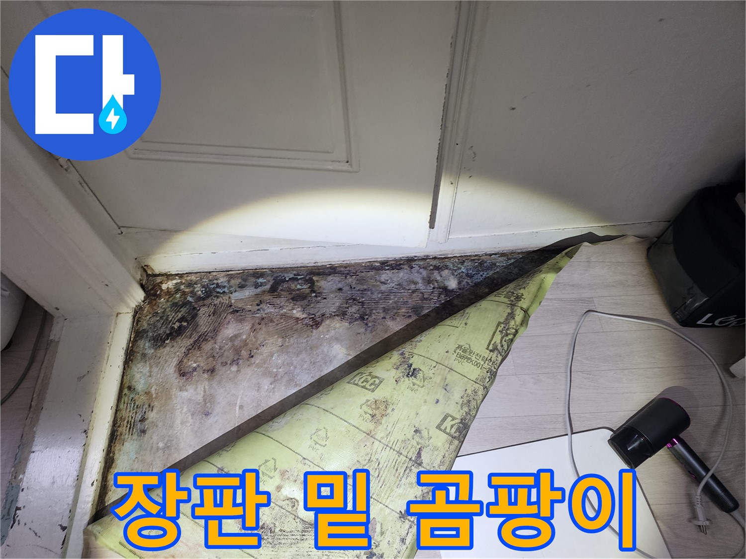 서초구 양재동 현대빌라 누수 - 장판 밑 곰팡이와 습기로 인한 피해