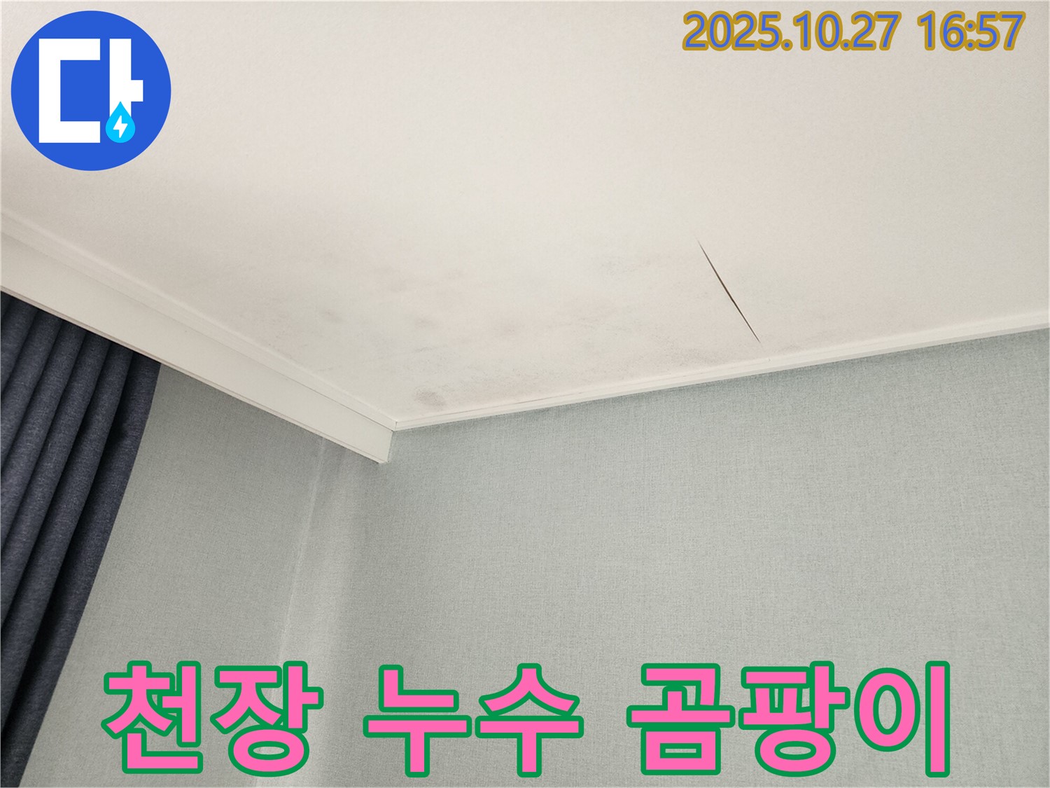 동작구 만양로 천장 누수로 인한 곰팡이 문제 해결 - 쾌적한 주거 환경 복원