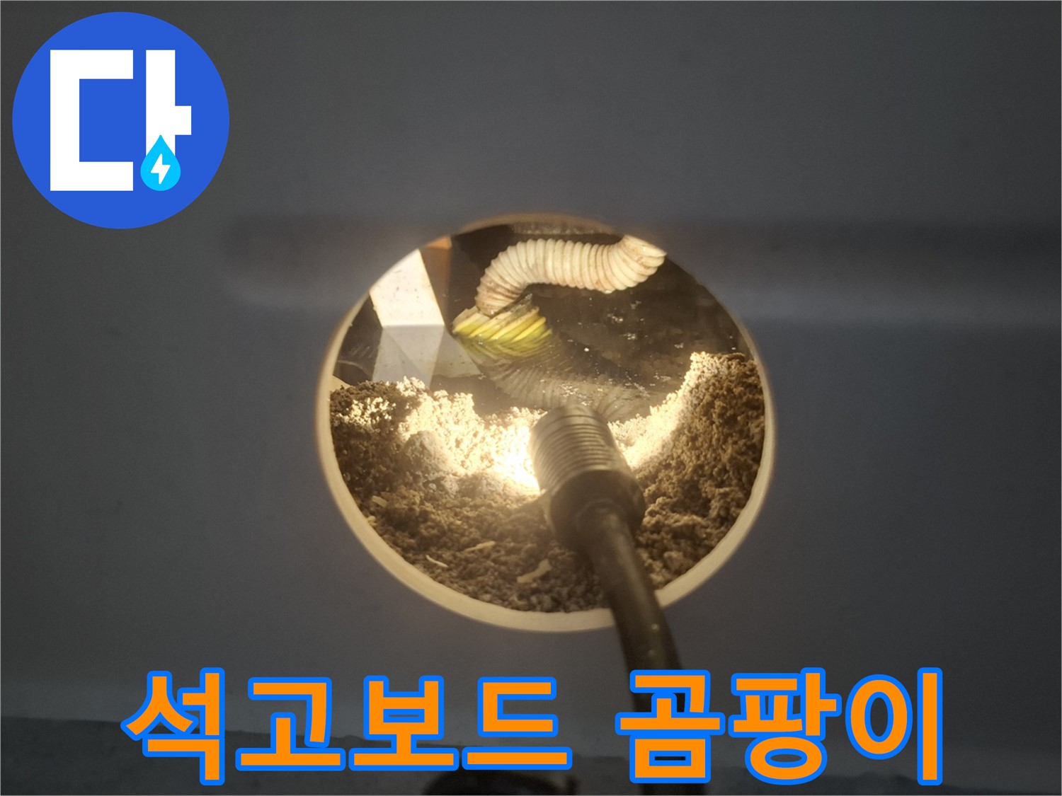 수원 팔달구 신풍동 누수 - 석고보드 속 곰팡이
