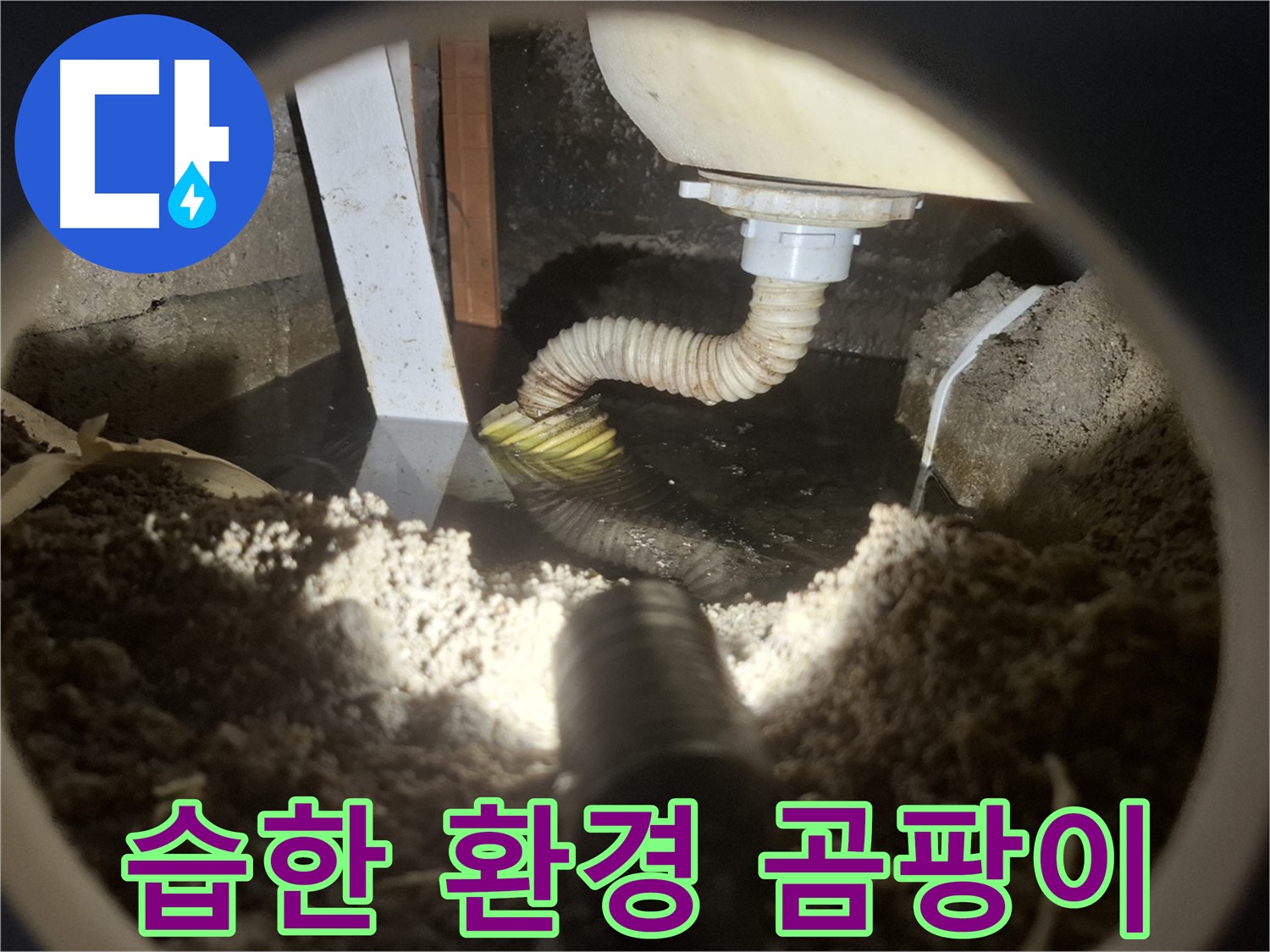 수원 팔달구 신풍동 누수 - 습한 환경으로 곰팡이 발생 - 누수 가능성 높음