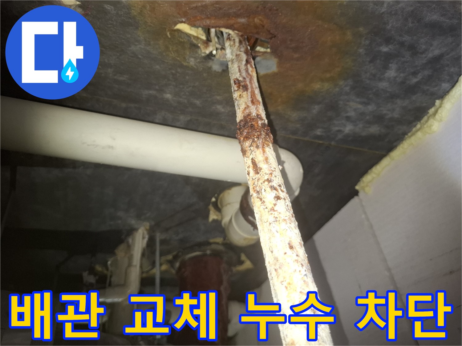 수원 팔달구 신풍동 누수 현장에서 배관 교체로 누수를 완벽하게 차단했습니다 - 새 배관으로 교체하여 누수 걱정 없이 안심할 수 있습니다.