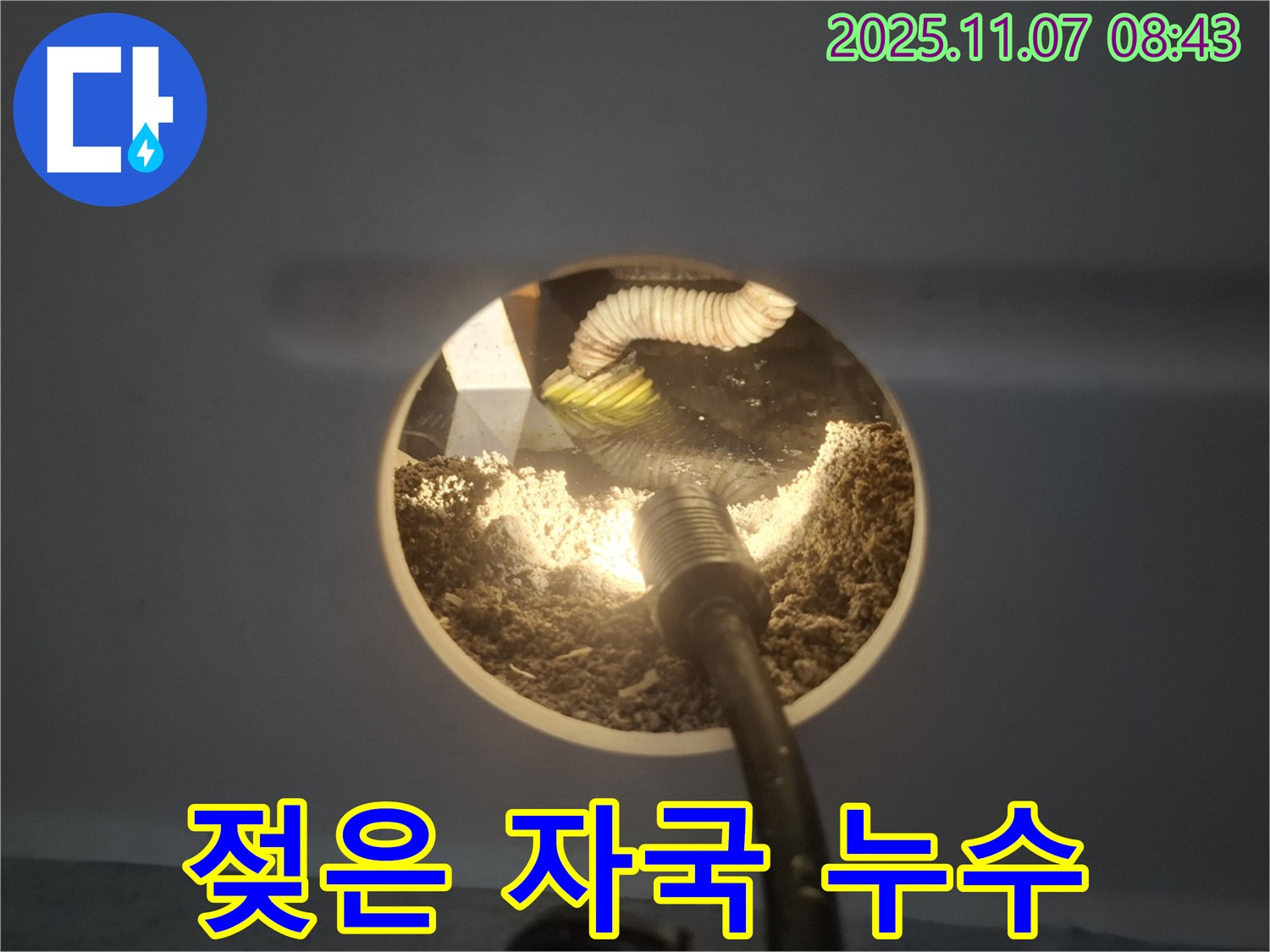신풍동 누수 - 천장 속에서 젖은 자국을 발견했습니다! 누수가 진행 중일 수 있습니다.