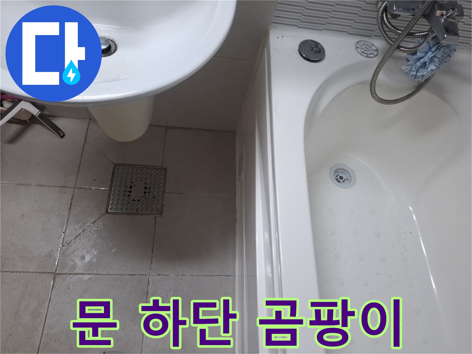 욕실 문 하단 곰팡이 - 습기 제거 필수