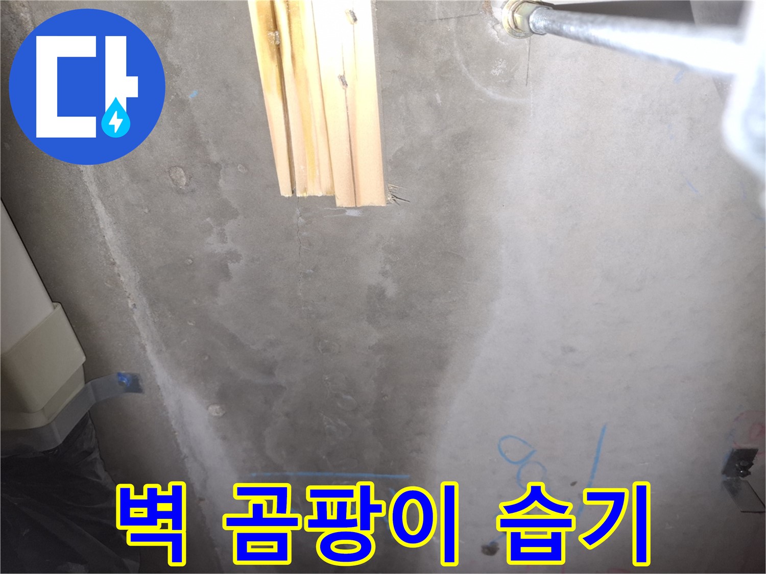 콘크리트 벽 누수 - 곰팡이와 습기
