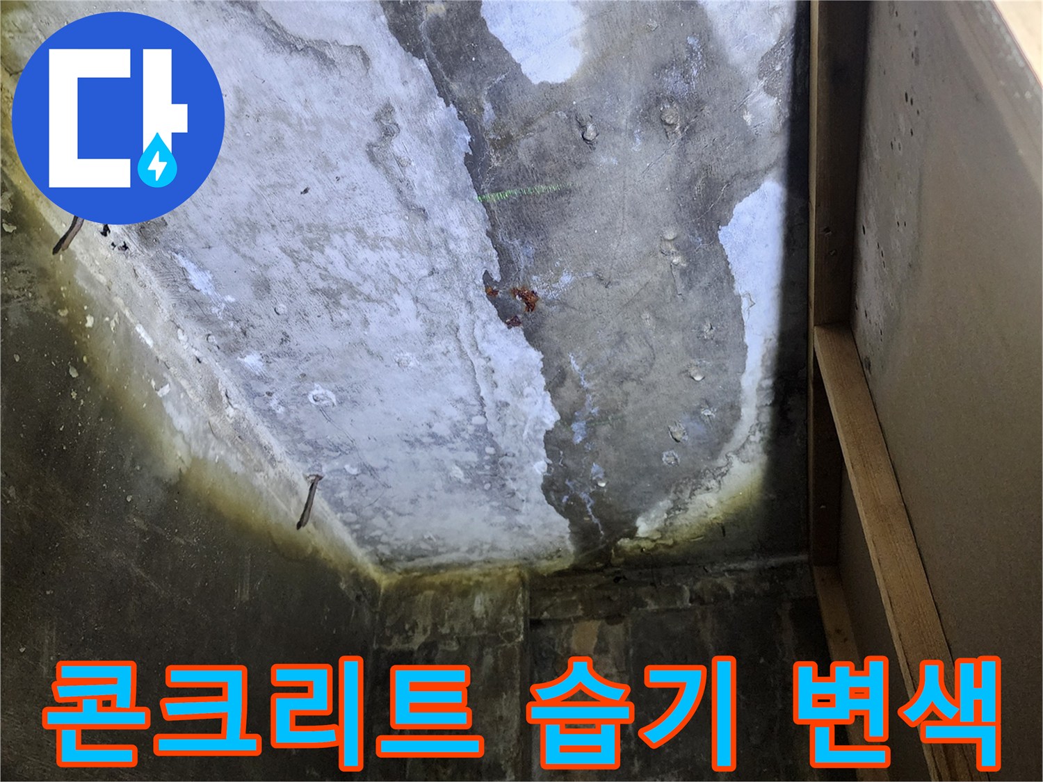 누수로 인해-축축하게 젖어버린 상가 천장 슬래브