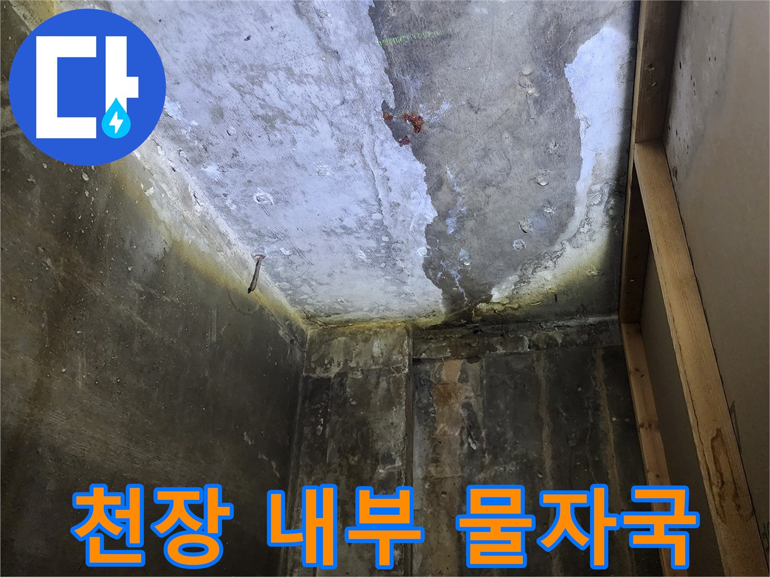 물기가 스며든-상가 건물의 젖은 천장 구조물