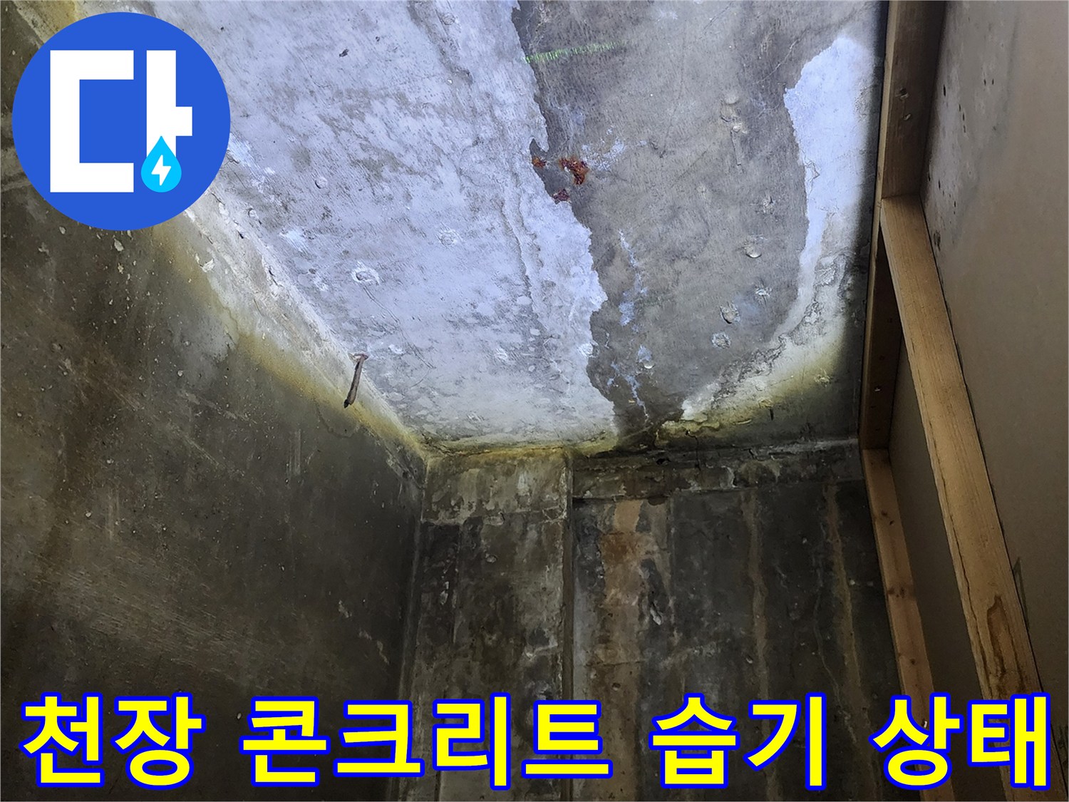 상가 천장 내부-콘크리트 슬래브 층의 심한 습기와 변색 상태