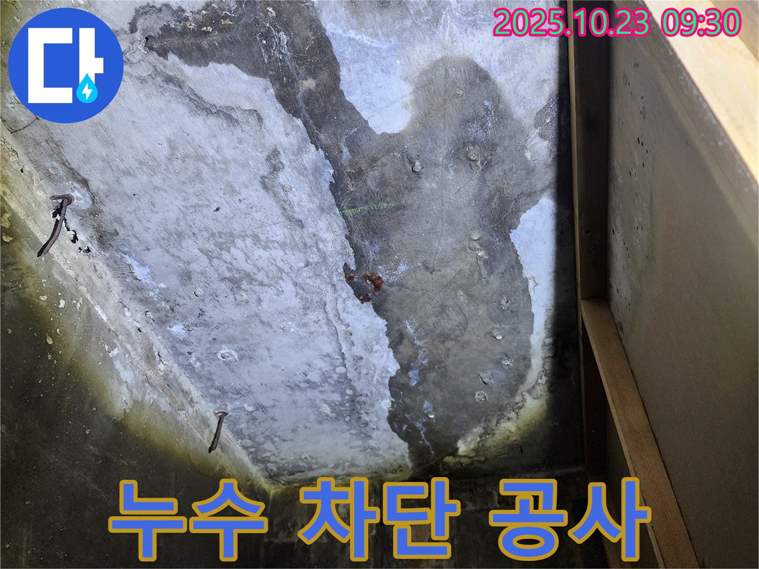 양주 도하리 누수 - 천장 누수, 완벽한 누수 차단 공사 진행