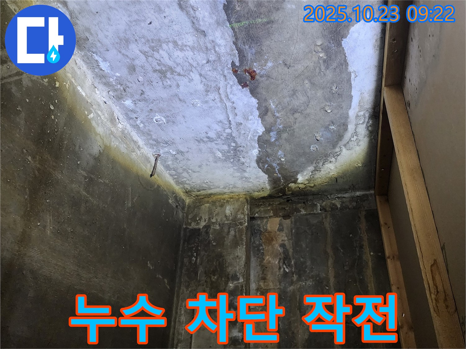 양주 은현면 누수와의 전쟁 선포 - 완벽 차단 작전 개시