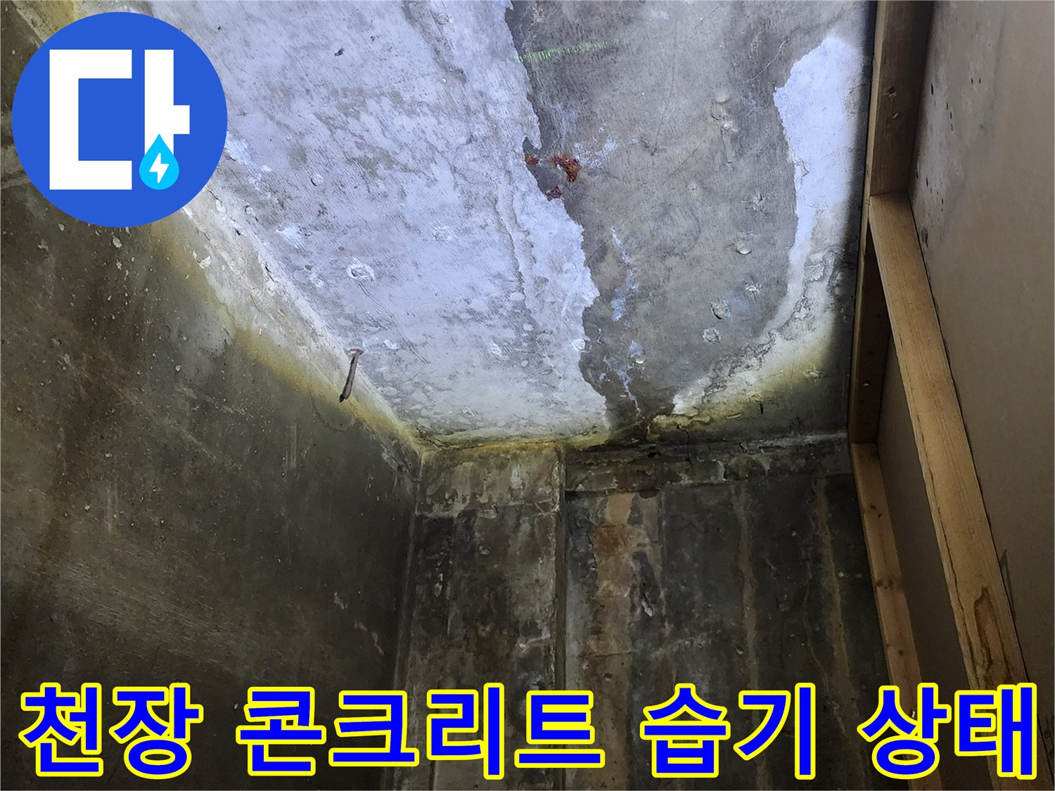 양주시 상가 건물 내부 - 천장 콘크리트 슬래브의 심한 습기와 변색 상태