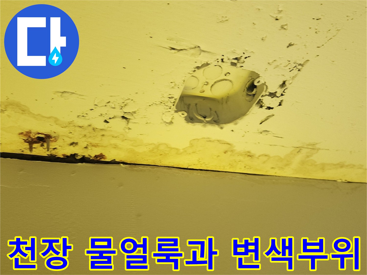 양주시 상가 내부 천장의 노란색 마감재 주변에 발생한 누수 흔적과 습기로 인한 변색 상태
