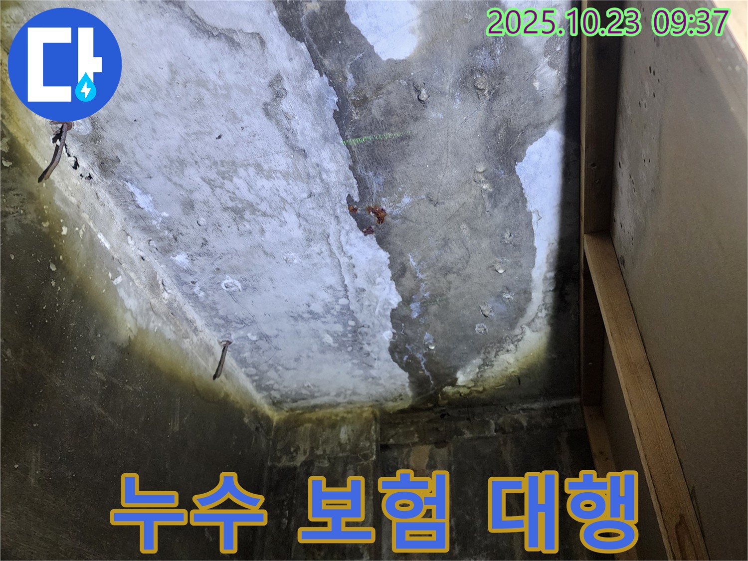 양주시 은현면 - 복잡한 누수 보험 서류 처리, 전문가가 대신 처리해 드립니다.