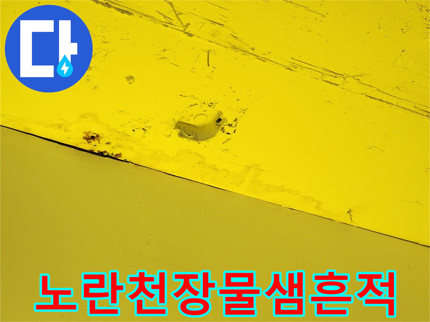 양주 하패리 상가-노란색 천장 패널에 나타난 습기 오염 흔적