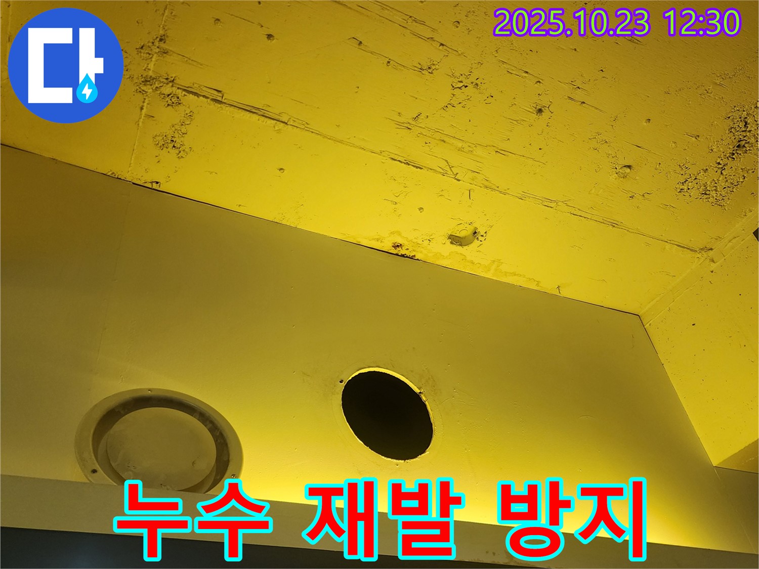 양주 하패리 천장 누수 - 재발 방지를 위한 꼼꼼한 시공