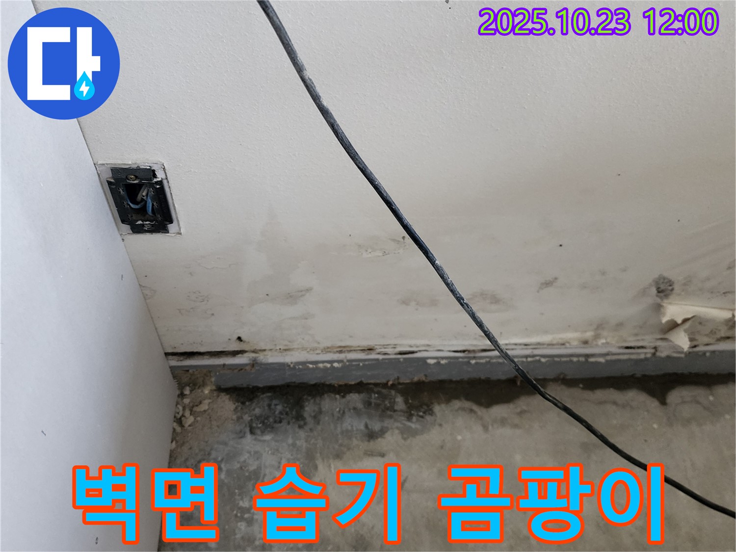 양주시 은현면 하패리 주택 벽면 습기, 곰팡이 - 발생 원인 분석