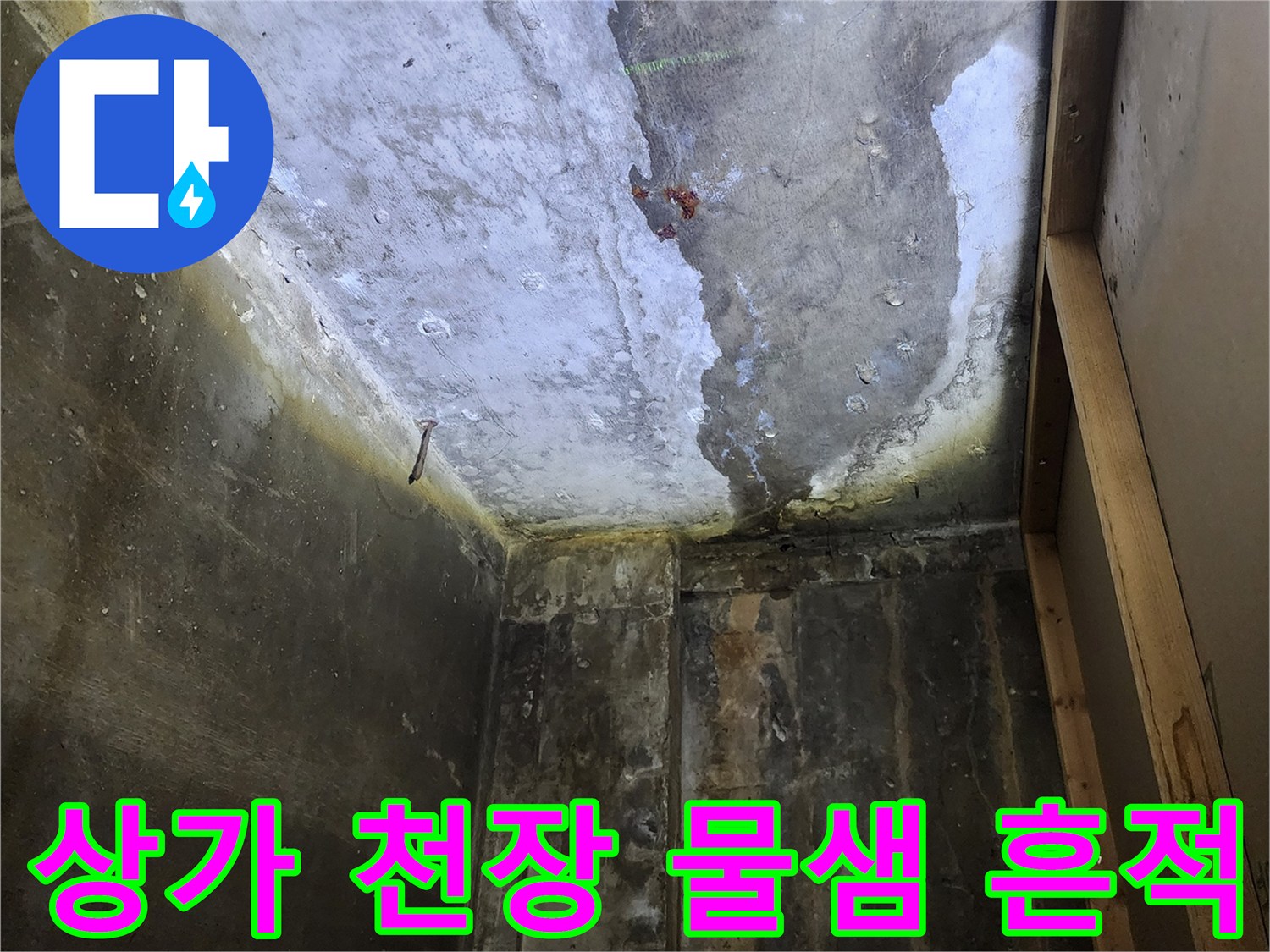 양주시 하패리 상가 건물의 콘크리트 슬래브 천장에 발생한 습기 및 오염 흔적