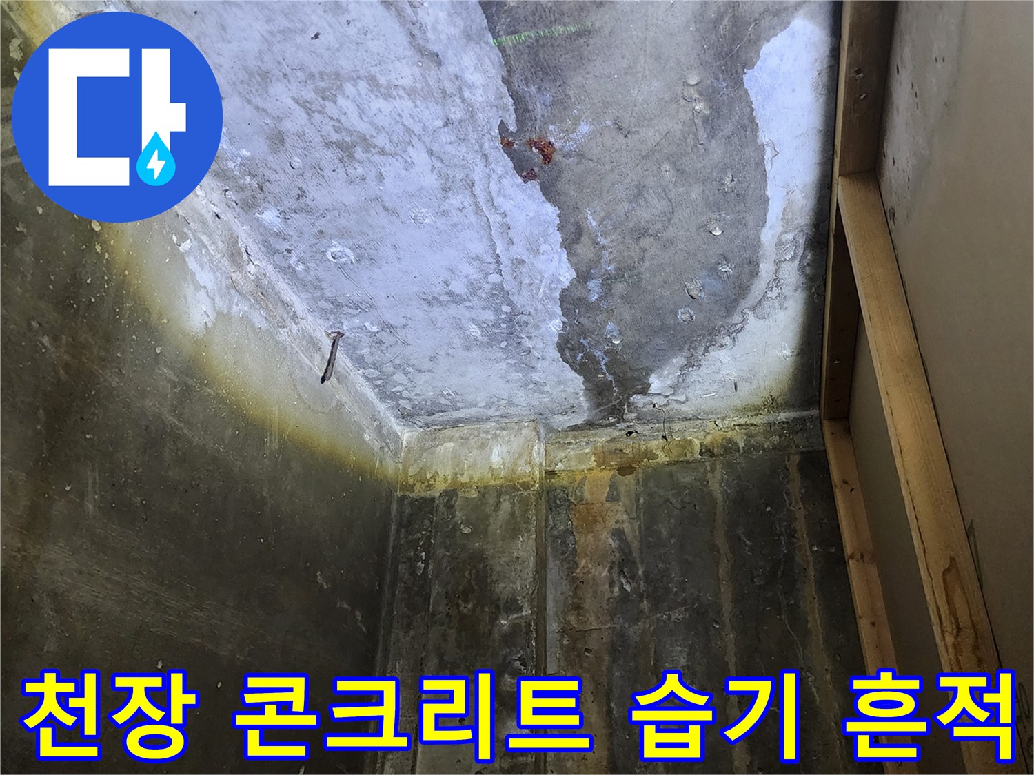 양주시 하패리 상가 천장-콘크리트 슬래브의 습기와 오염 상태를 보여주는 사진입니다.