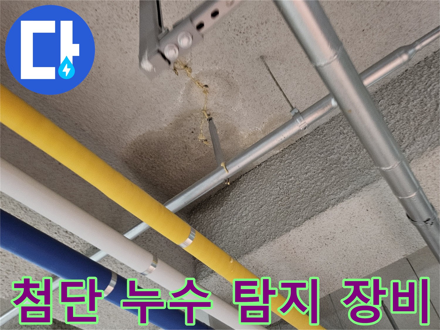 고양시 덕양구 벽제동 누수 첨단 탐지 장비 활용