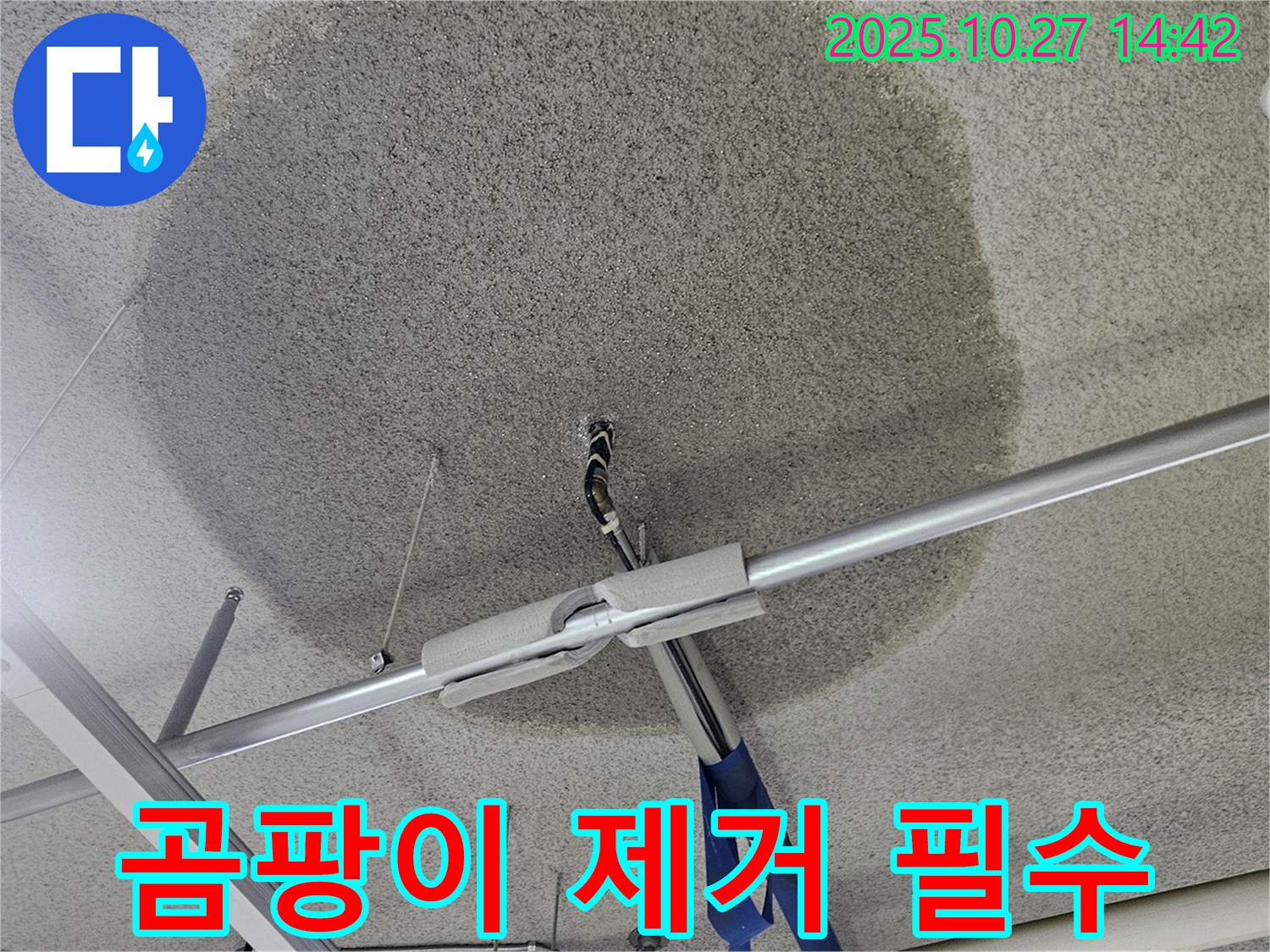 고양시 덕양구 석고보드 천장 누수 - 곰팡이 제거와 재발 방지 시공