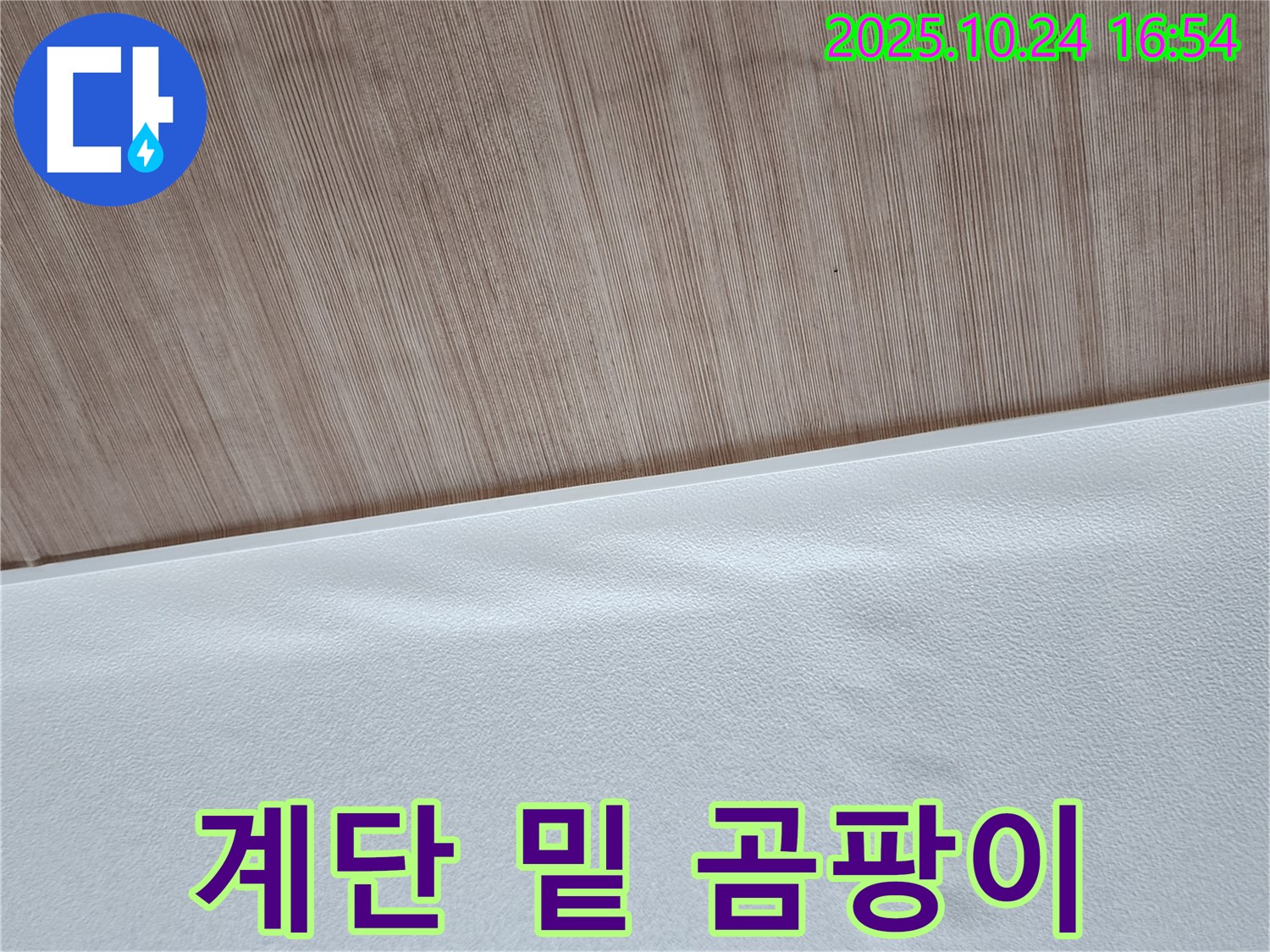 계단 밑 곰팡이 - 계단 밑에 곰팡이가 핀 모습입니다.
