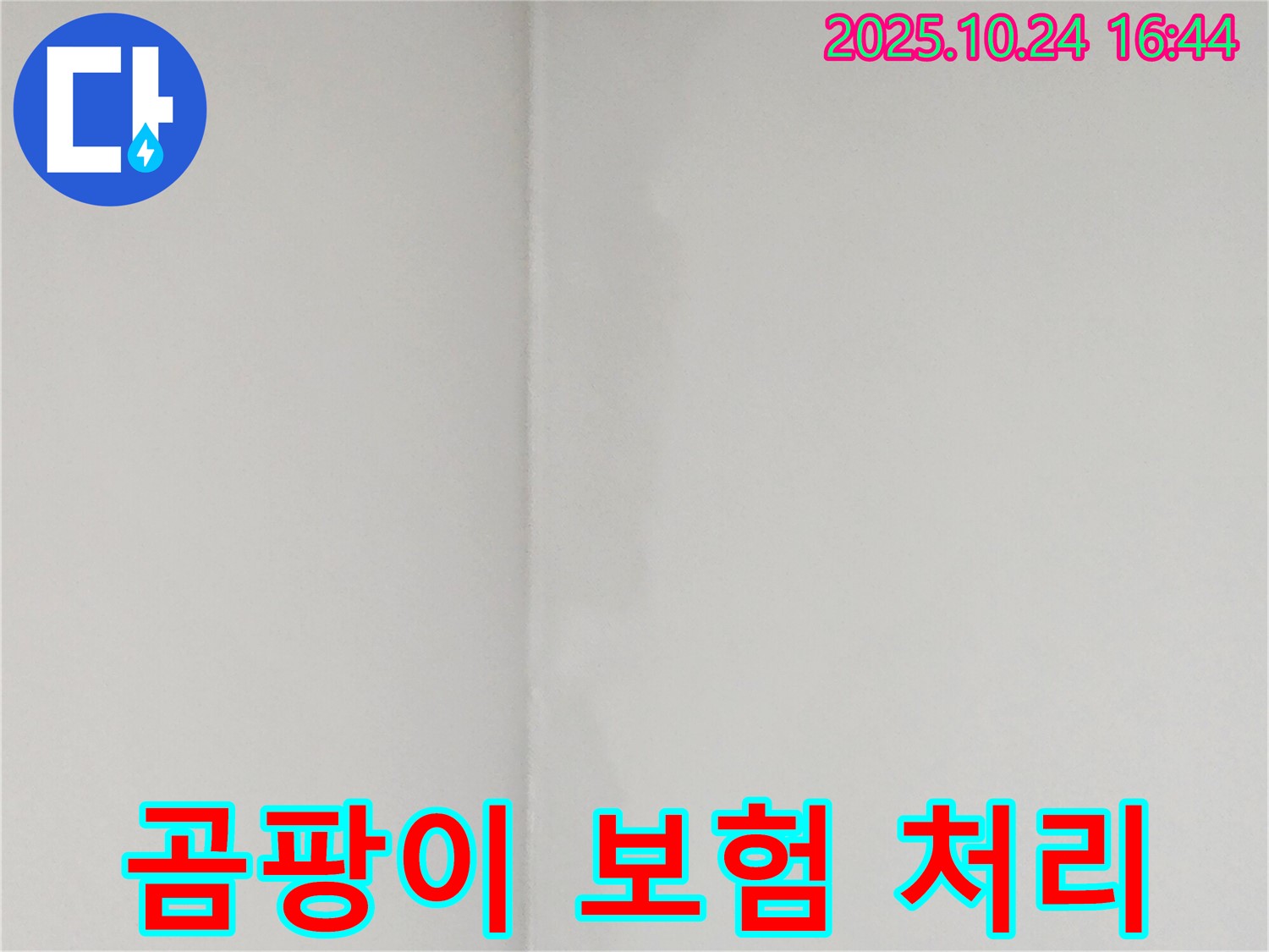 곰팡이 보험 처리 - 양주 누수탐지, 누수 보험으로 곰팡이 피해를 보상받으세요.