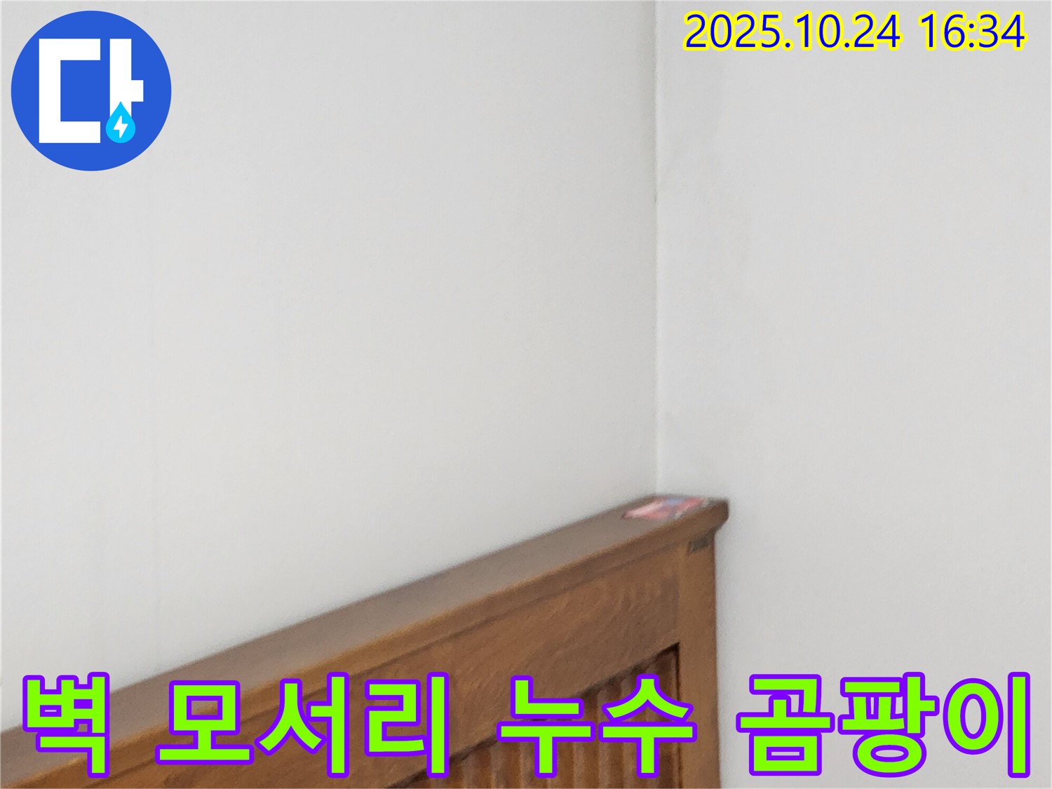 양주1동 누수 현장 - 벽 모서리 곰팡이와 누수를 동시에 해결하는 누수 전문가의 전문적인 기술