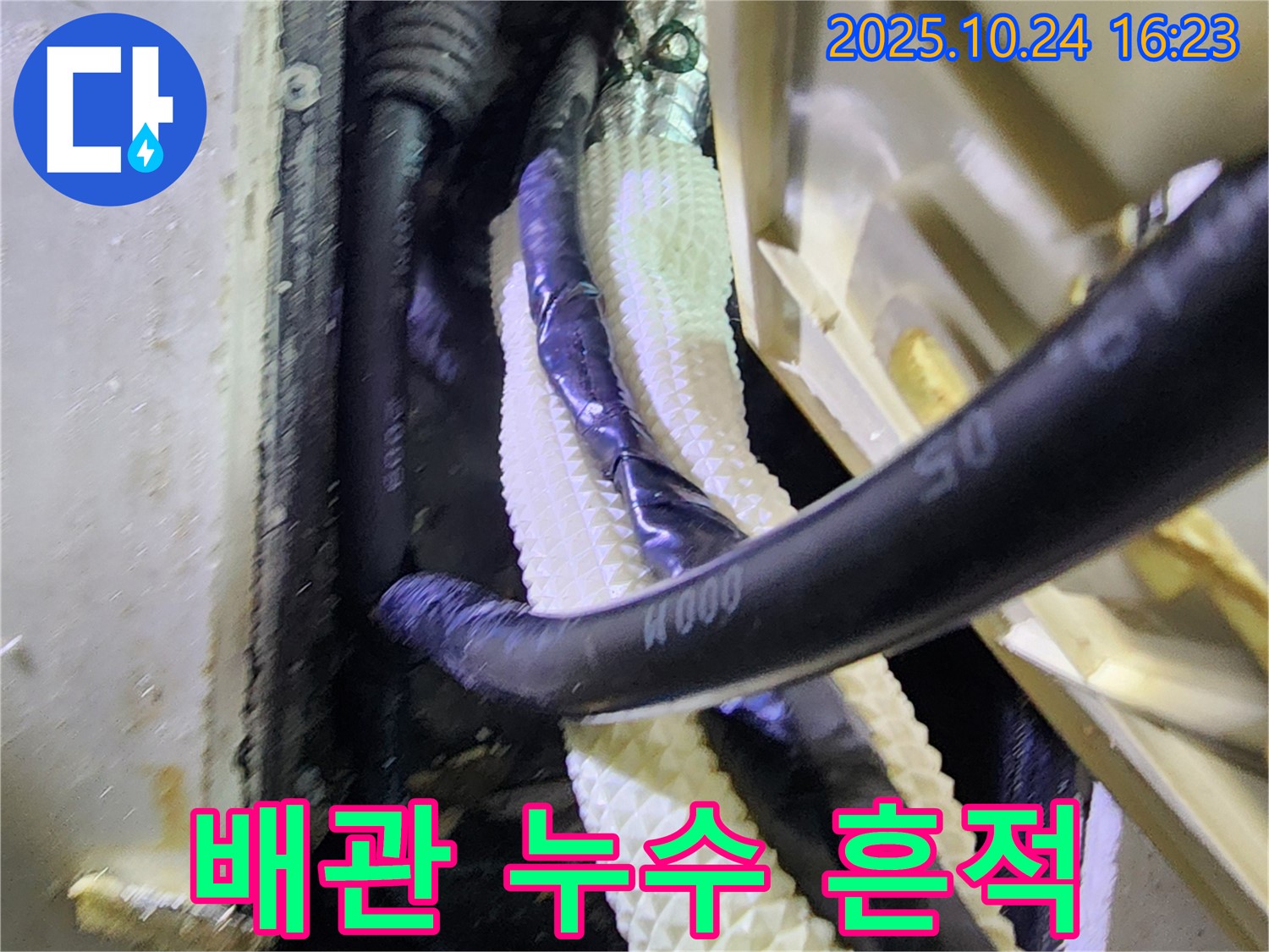 양주1동 누수 현장에서 발견된 배관 누수 흔적 - 꼼꼼한 누수 탐지로 문제 해결!