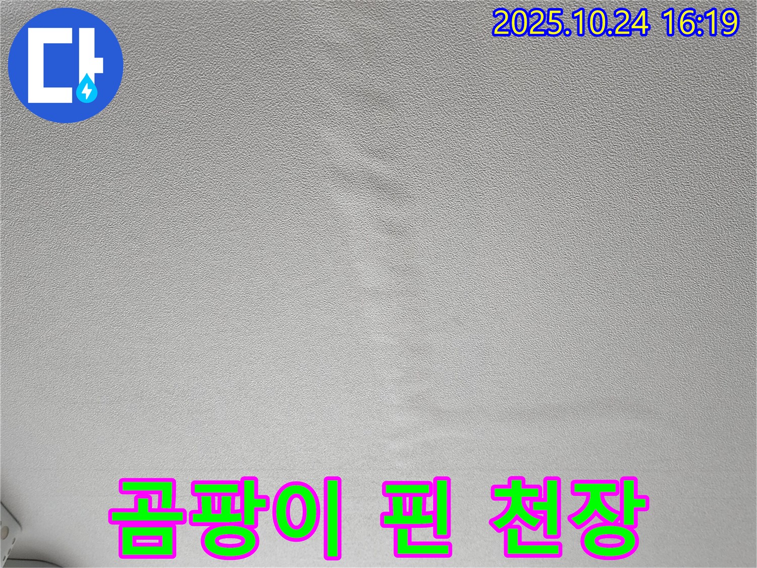 양주1동 봉우로 누수 - 곰팡이 핀 젖은 천장 긴급 해결 - 곰팡이 제거 및 재발 방지