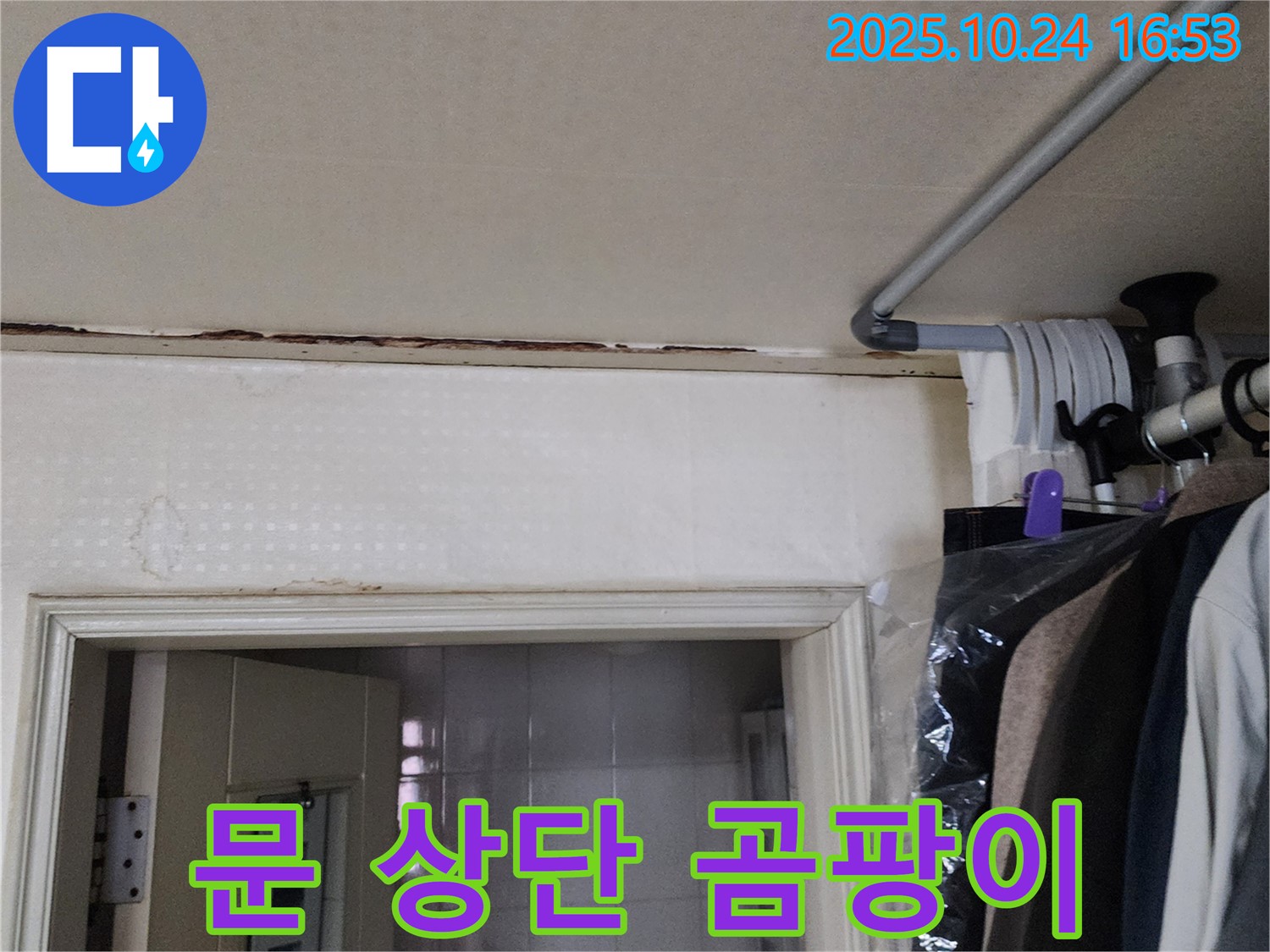양주시 - 문 상단 곰팡이 - 설비 전문가 진단