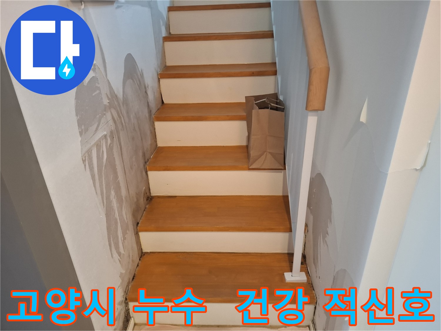 계단 옆 벽 곰팡이 - 건강 적신호, 긴급 조치