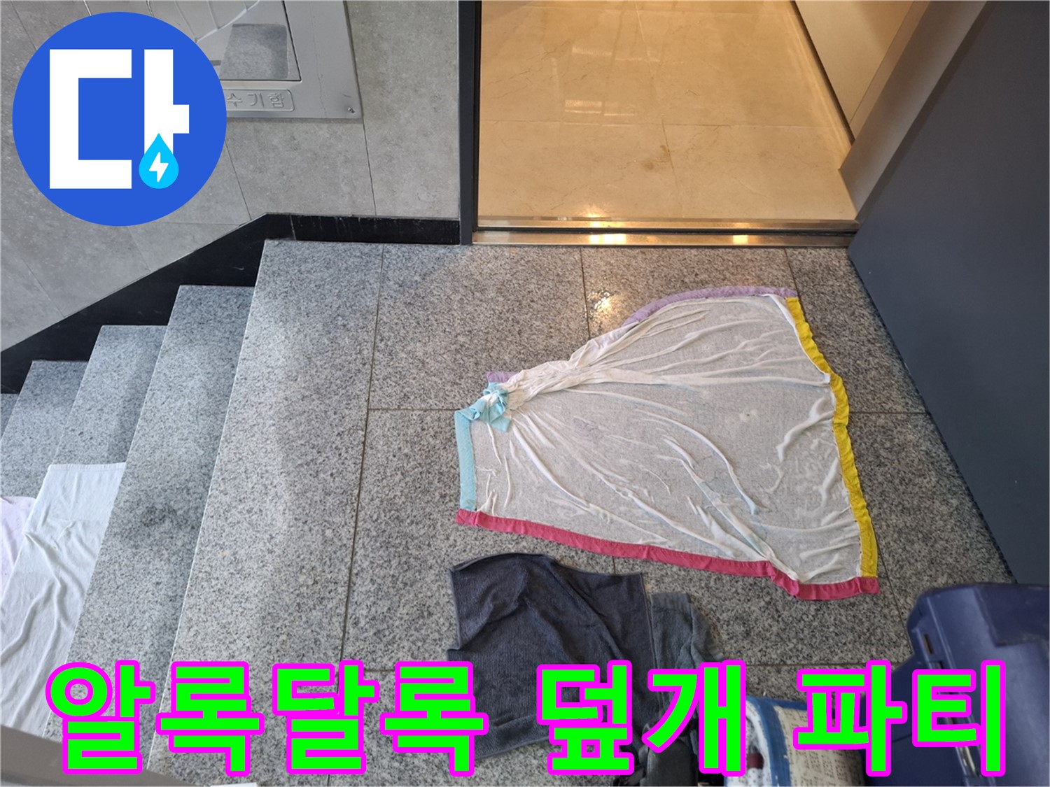 알록달록 덮개와 먹색 상의 - 곰팡이 파티?