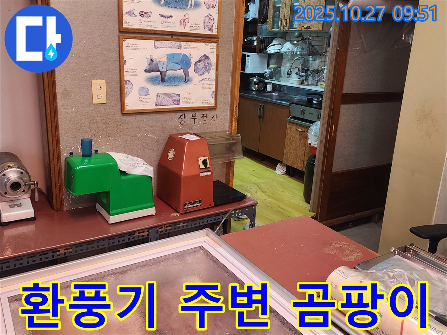 양주 옥정2동 정육점 환풍기 주변 벽 곰팡이 냄새 - 곰팡이 냄새, 건강을 위협하는 누수의 신호!