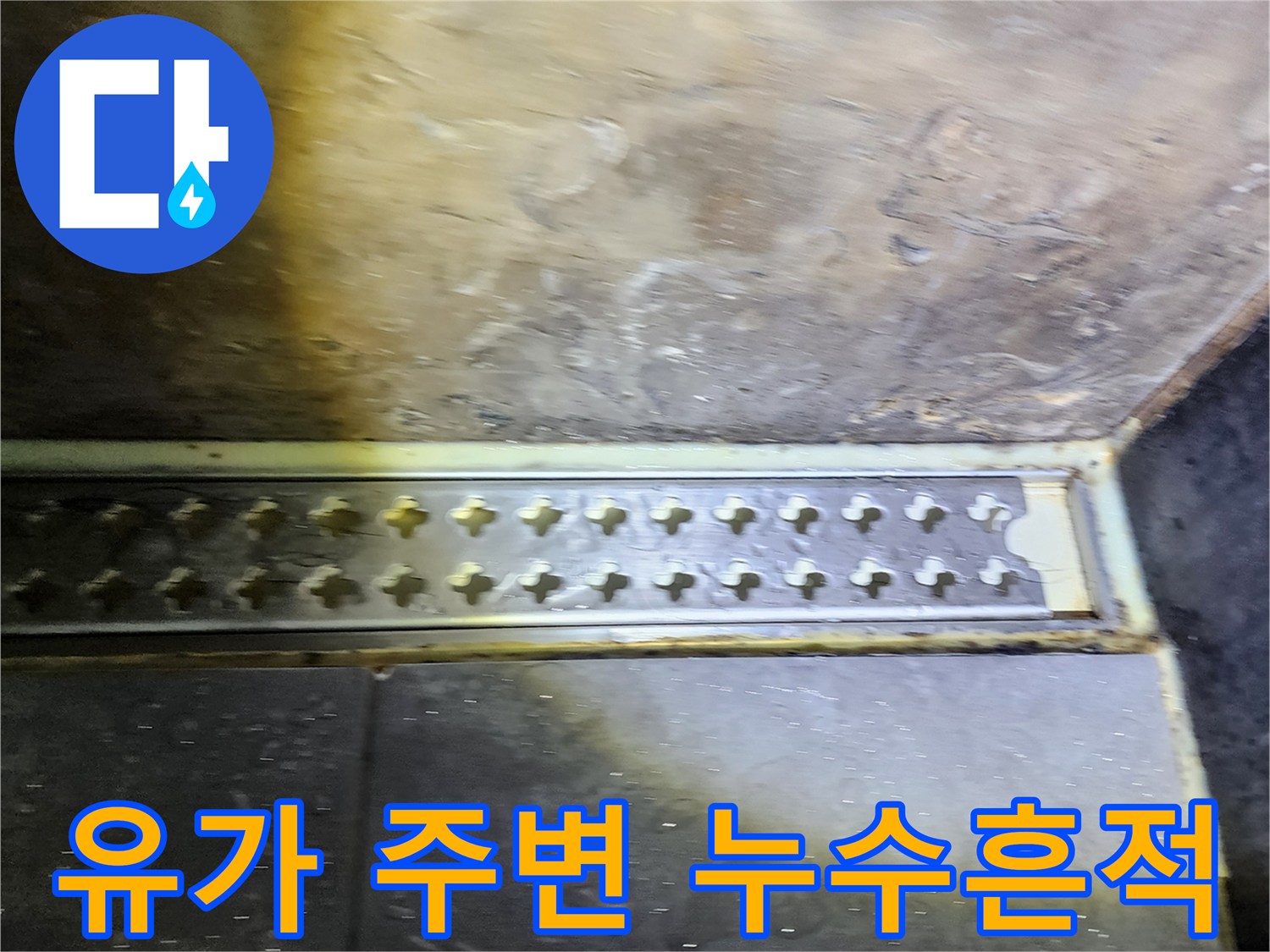 양주시 옥정동-배수구 유가 주변의 습한 상태를 나타낸 사진입니다.