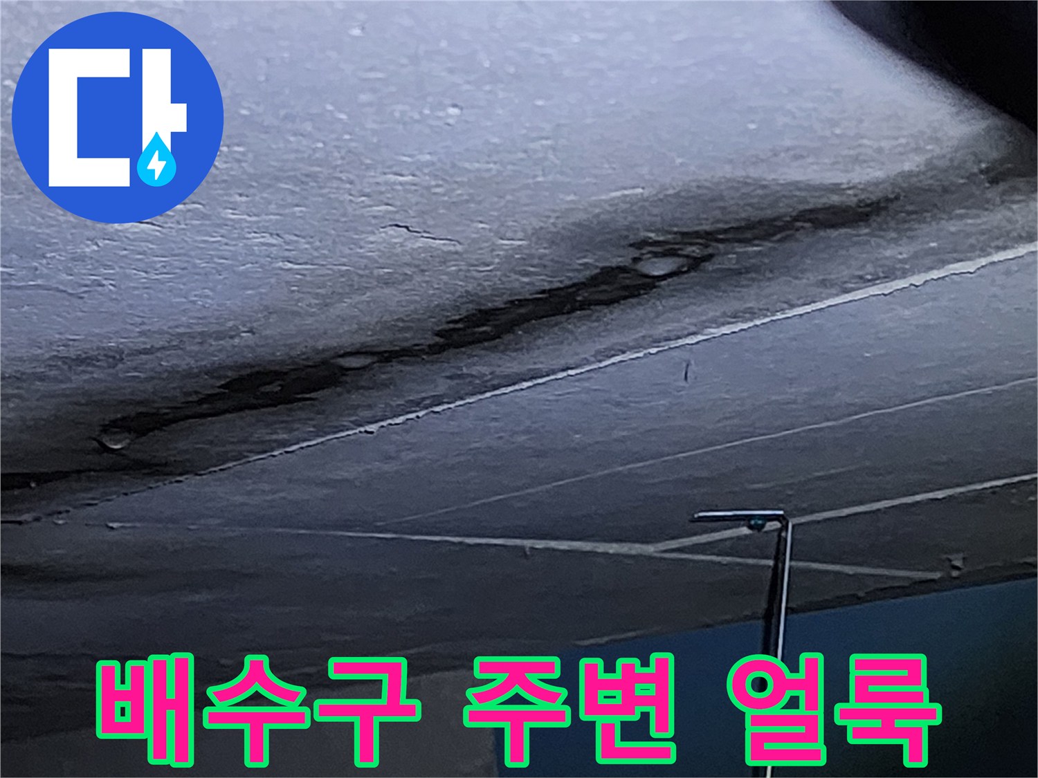욕실 배수구 부근의 짙은 오염과 습기 머금은 타일 상태