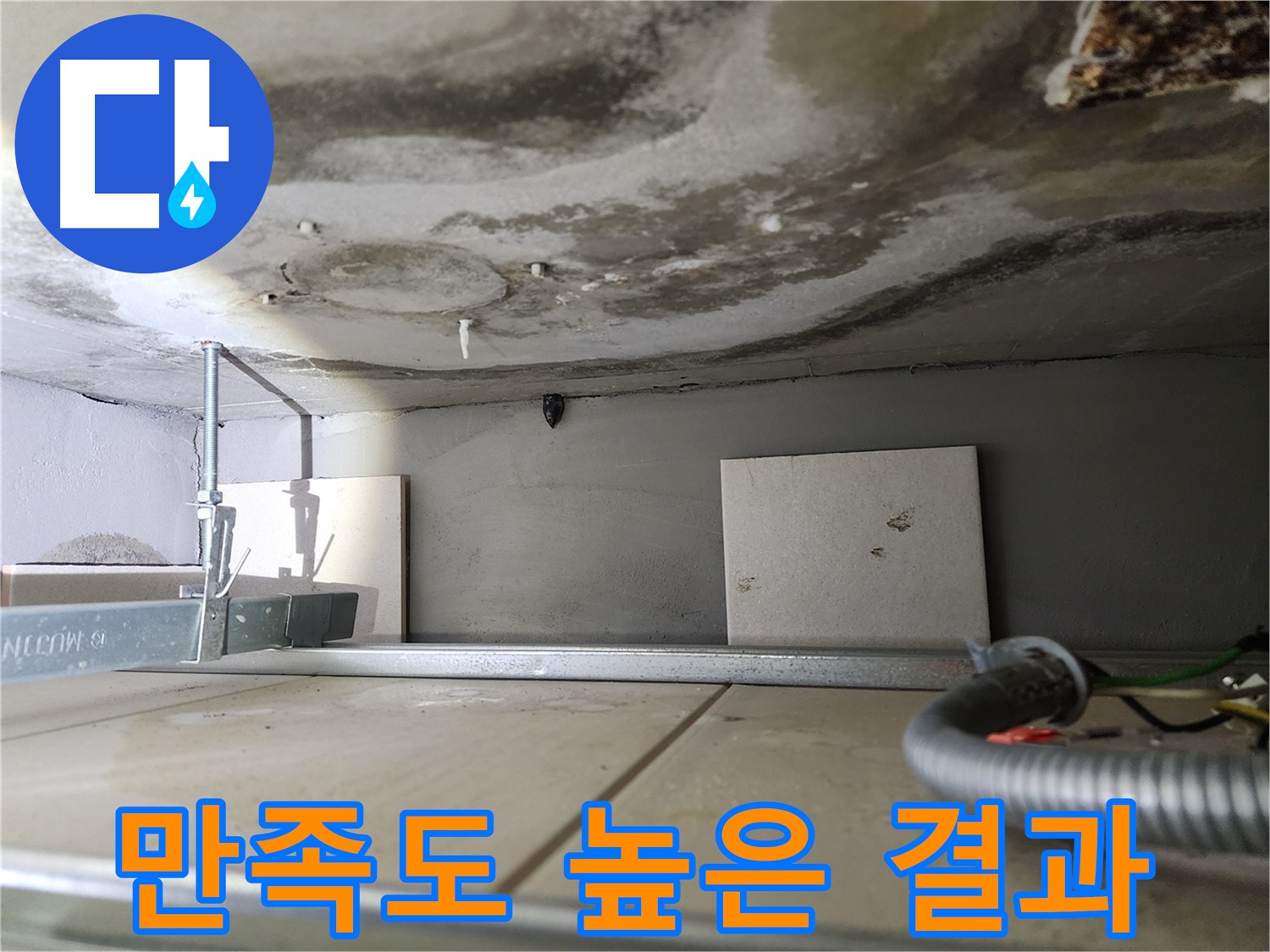 곰팡이 문제 해결-만족도 높은 결과 약속