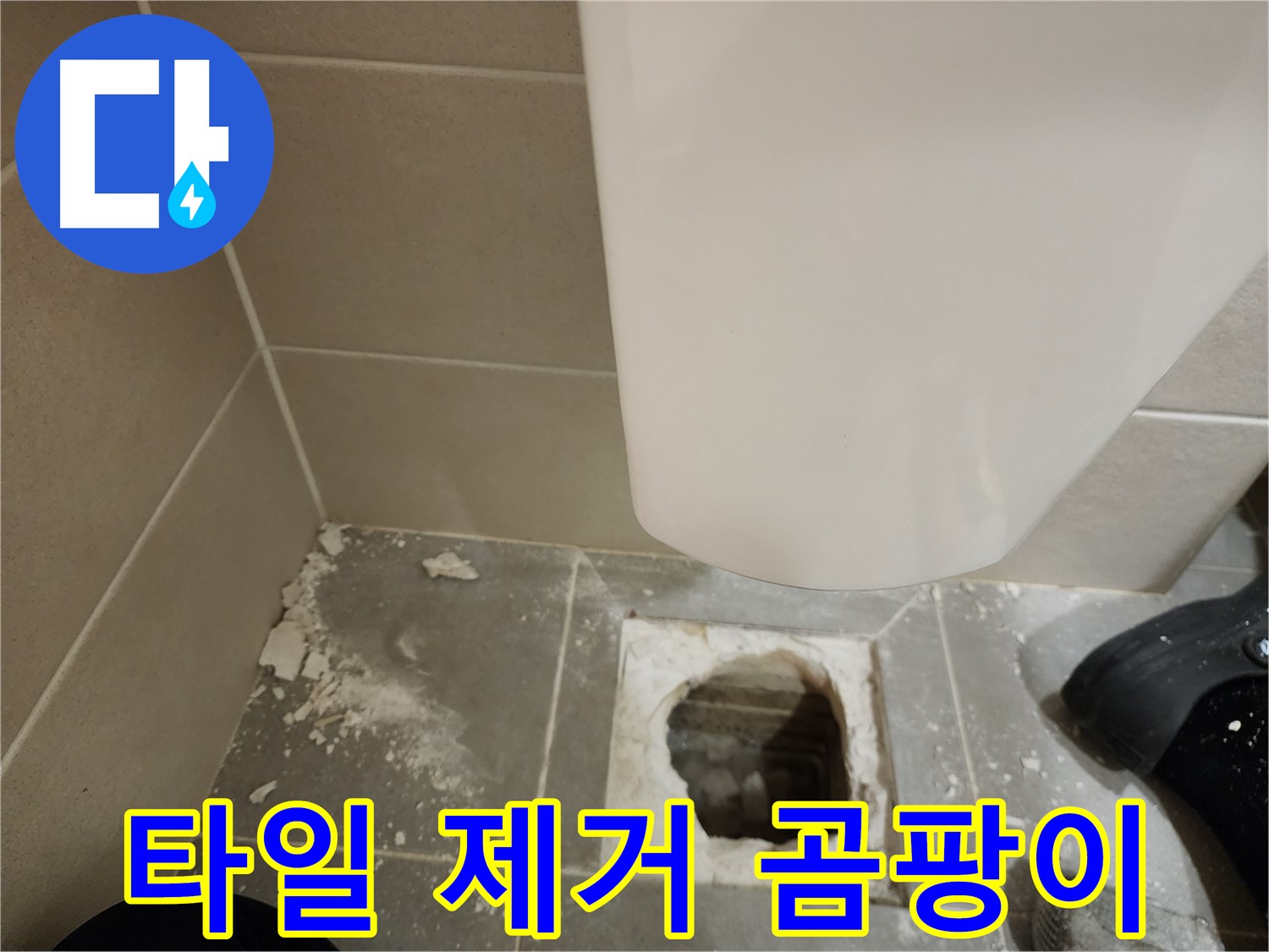 금호동 신금호파크자이 아파트 - 들뜬 타일 제거 후 곰팡이 발견