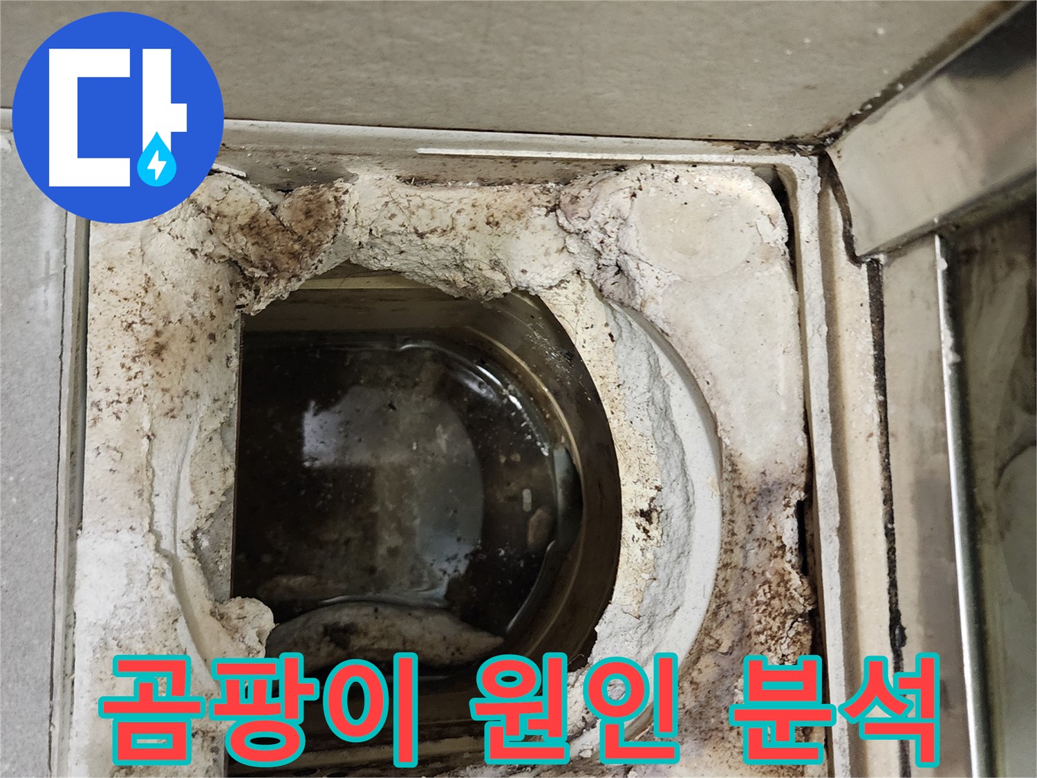 금호동2가 신금호파크자이 욕실 유가 주변 곰팡이 - 습기와 누수