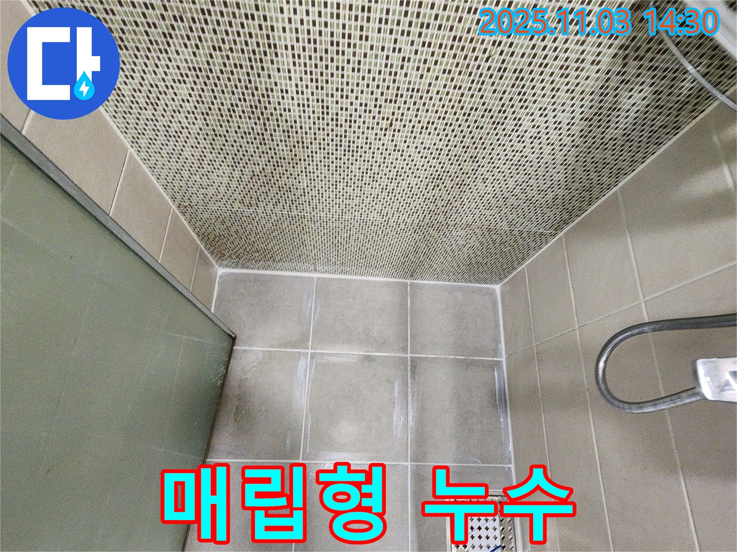 샤워기 벽 매립형 샤워기 누수 - 누수 탐지 후 배관 수리 & 완벽한 타일 재시공!
