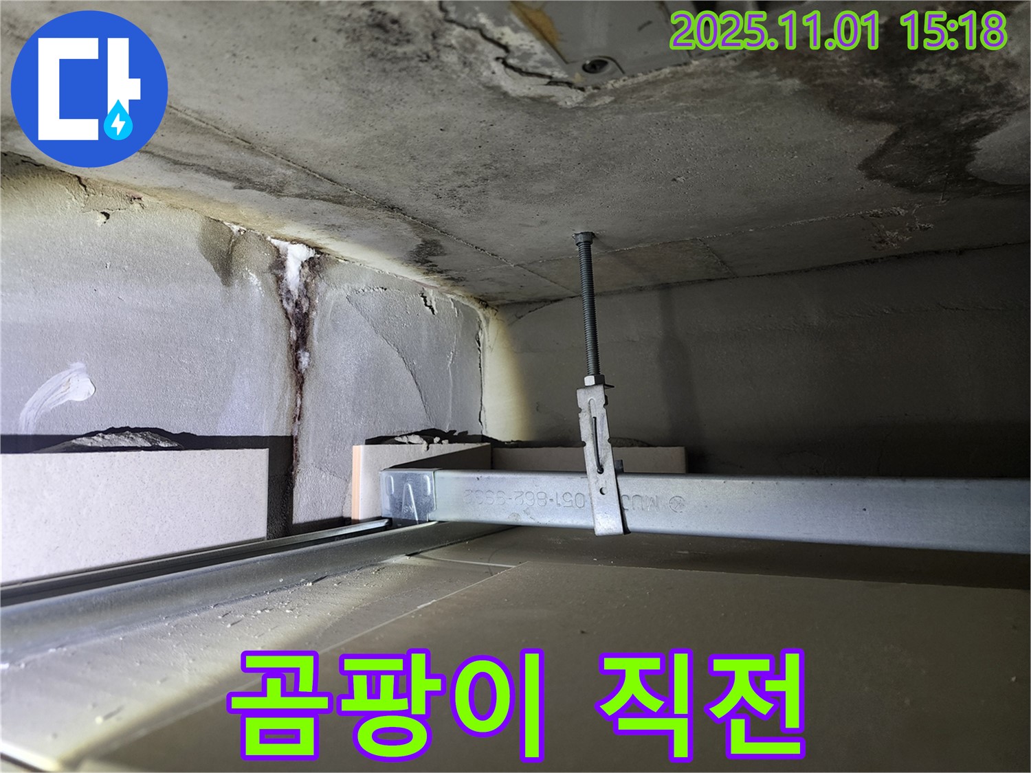 성동구 신금호파크자이 아파트 - 천장 누수, 곰팡이 발생 직전의 위기 상황