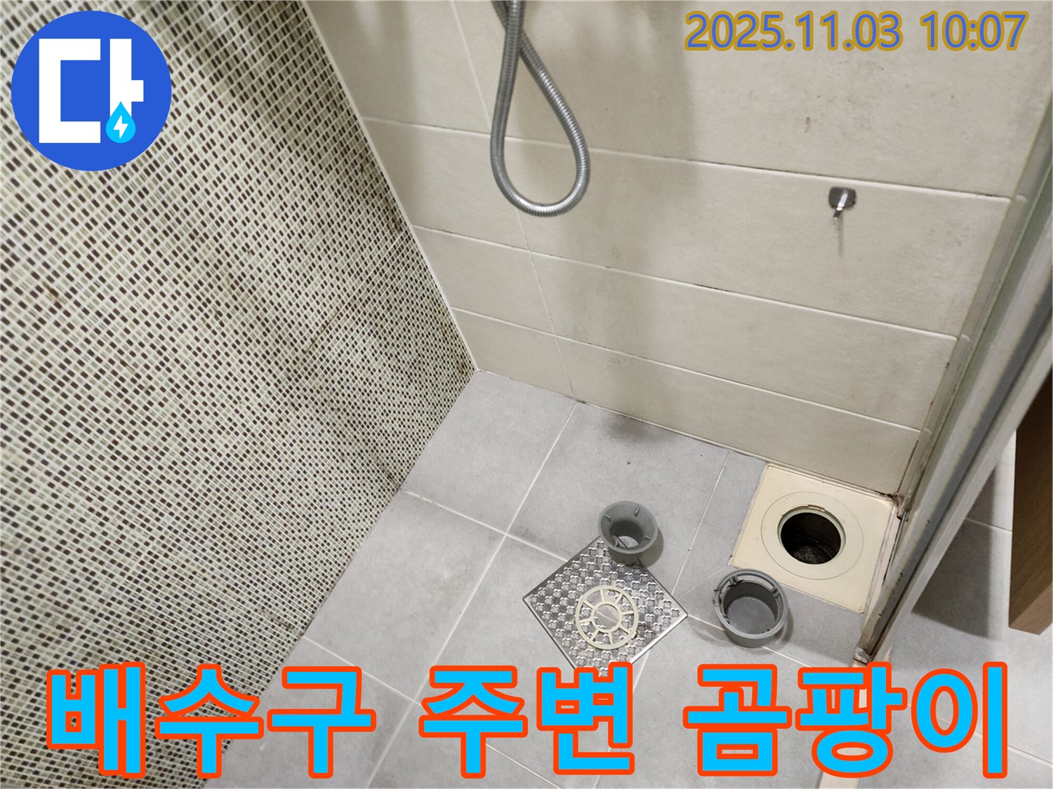 신금호파크자이 욕실 - 배수구 주변 곰팡이 발생 상태를 확인하고 누수와의 관련성을 점검