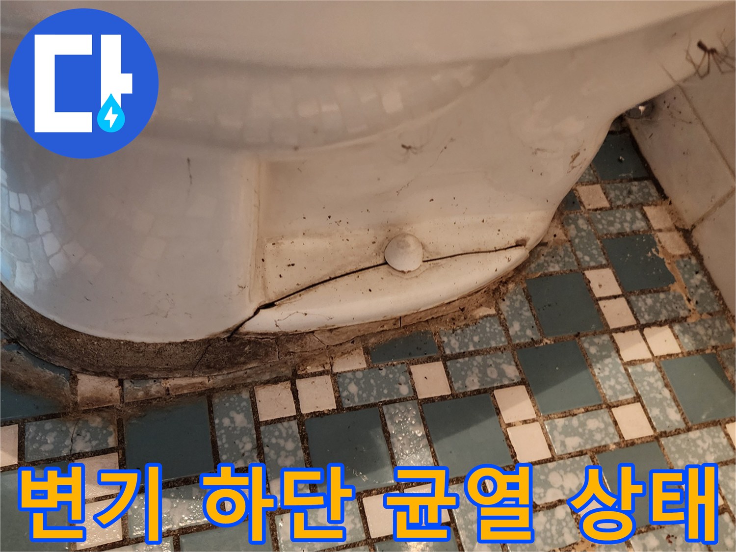 양주시 화장실 변기 하단 타일 틈새의 균열과 오염된 모습