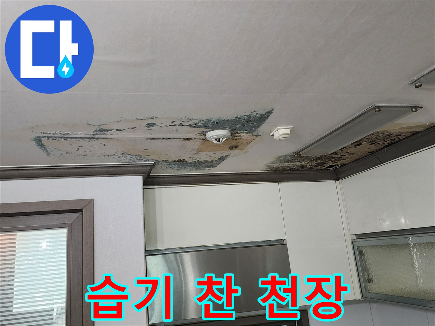물기가 스며들어 곰팡이가 발생한 주방 천장