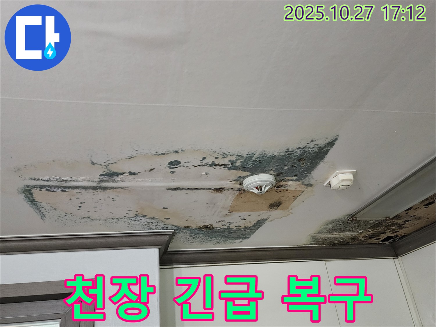 양주 회천2동 아파트 천장 누수 - 긴급 복구 작업 진행
