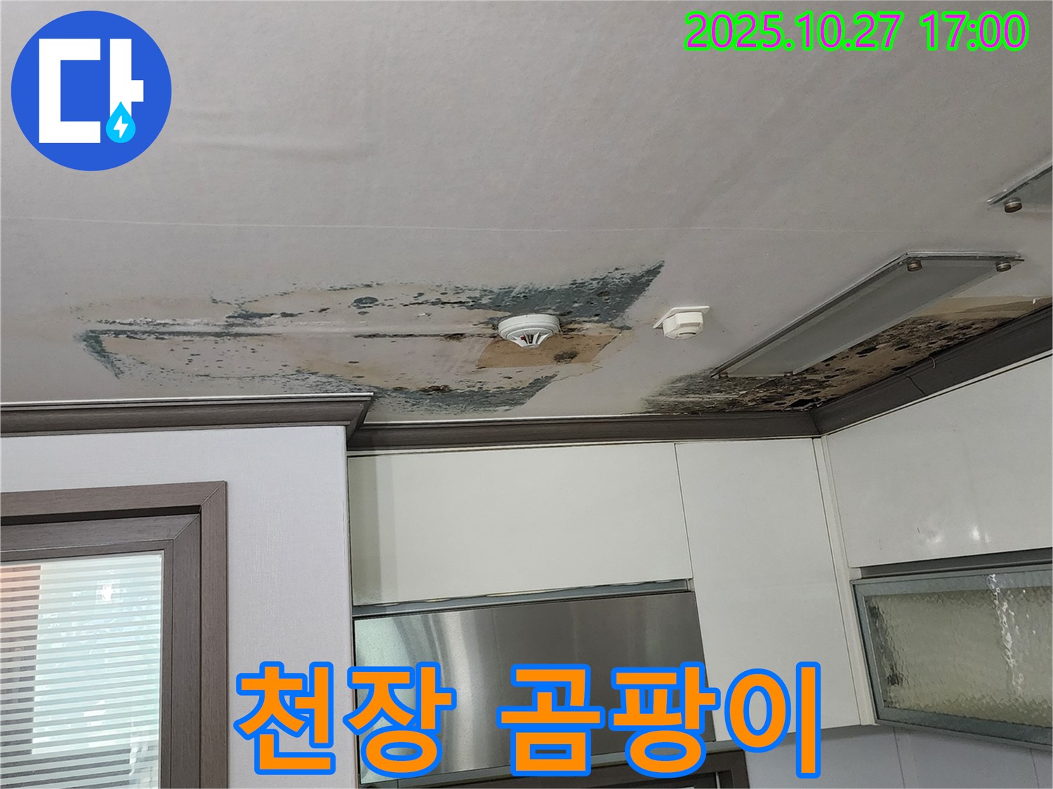 양주시 회천2동 천장 곰팡이 - 누수와 곰팡이 문제 해결