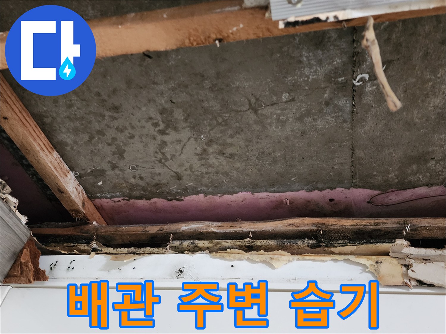 천장-구조재-습기-침투-및-변색