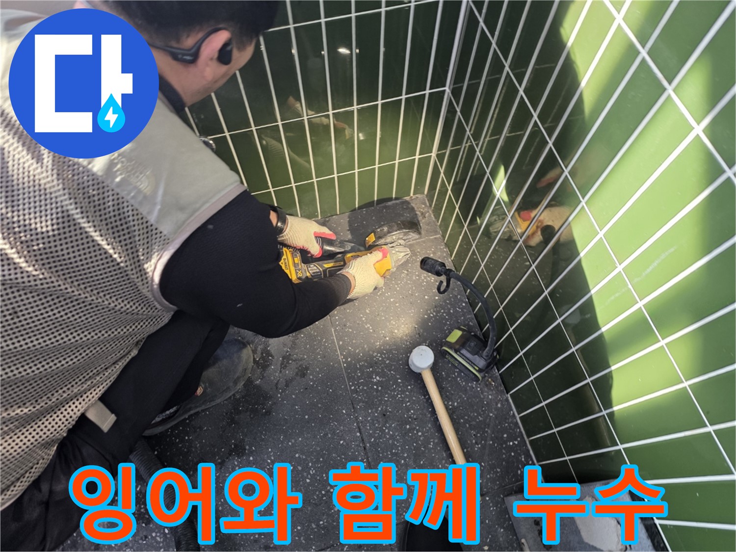 연못 속 잉어와 함께하는 누수 공사 - 잉어들아 놀라지 마!