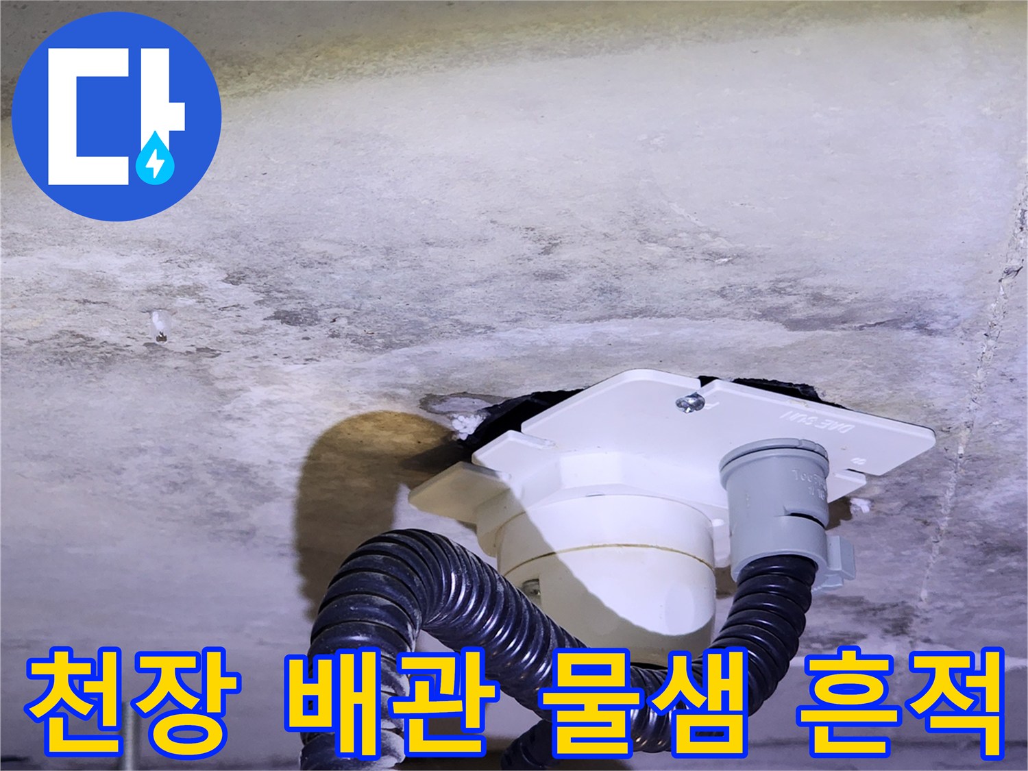 양주시 유양동-아래층 천장 배관 주변의 습기와 얼룩 상태